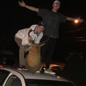 Meet your Posher, Matt